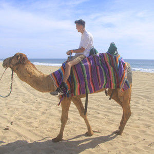 Meet your Posher, Dan